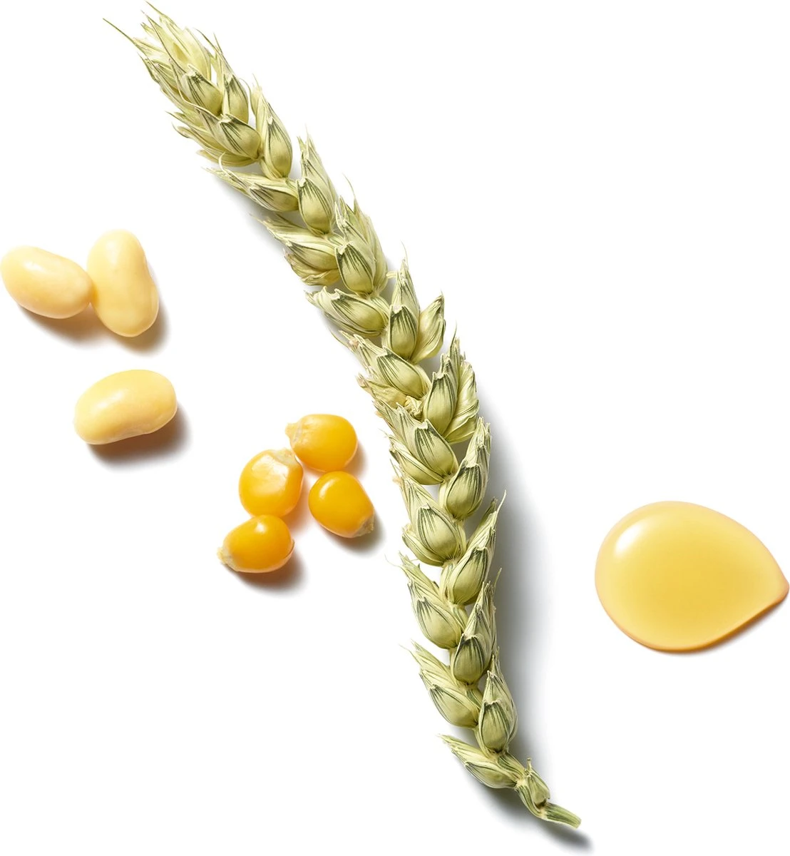 RITUALS Elixir Collection Miracle Keratin Recovery Hair Mask - 200 Ml 2 RITUALS Elixir Collection Miracle Keratin Recovery Hair Mask - 200 Ml - Afbeelding 2