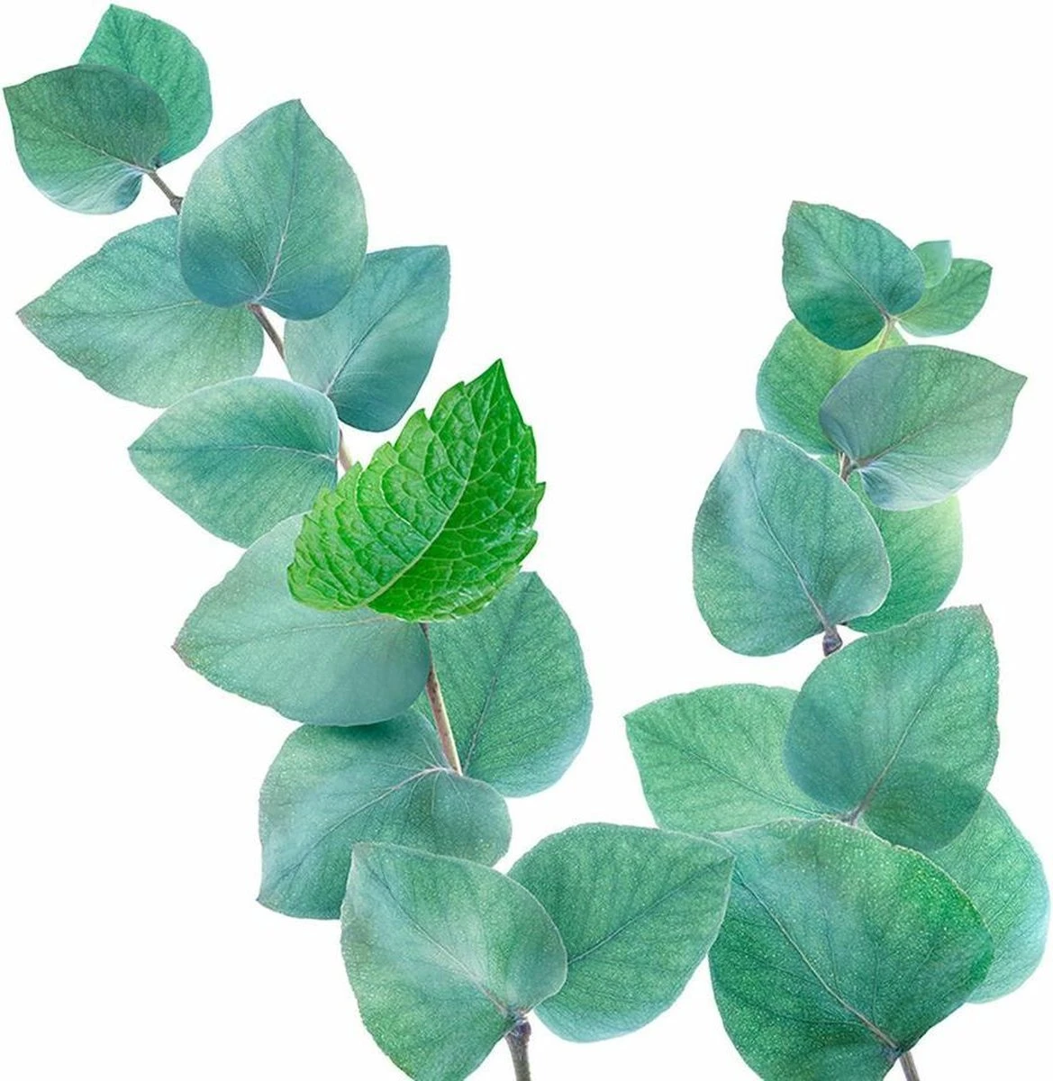 Kneipp Refreshing - Douchegel 5 Kneipp Refreshing - Douchegel - Afbeelding 5