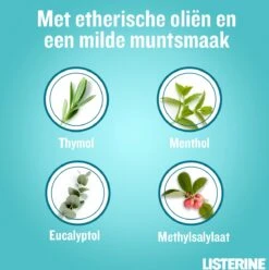 LISTERINE Cool Mint Milde Smaak, Mondspoeling Zonder Alcohol Met Etherische Oliën, Helpt Bacteriën Te Verwijderen En Zorgt Voor Een Langdurig Frisse Adem, 3 X 500 Ml 16 LISTERINE Cool Mint Milde Smaak, Mondspoeling Zonder Alcohol Met Etherische Oliën, Helpt Bacteriën Te Verwijderen En Zorgt Voor Een Langdurig Frisse Adem, 3 X 500 Ml -Verzorgingsproducten 1194x1200 6