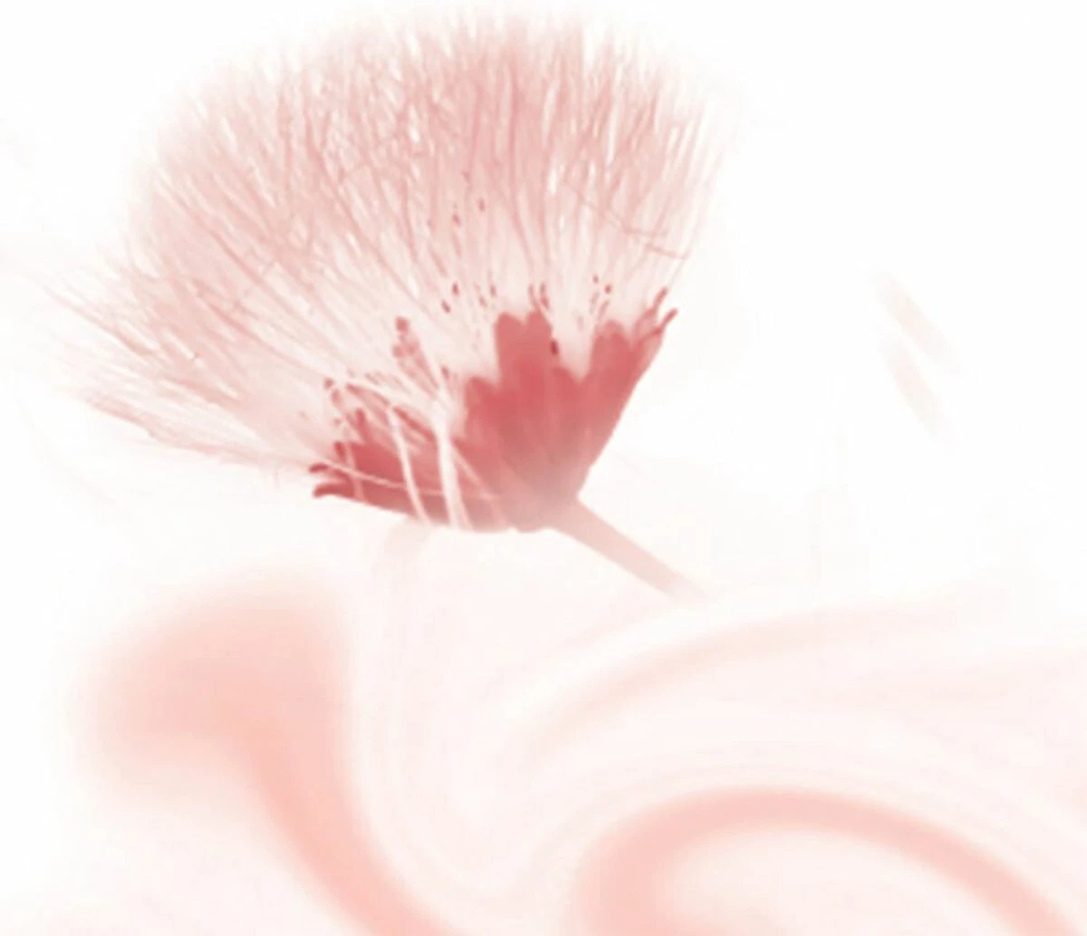 Kneipp Silky Secret - Cream & Oil Body Scrub 2 Kneipp Silky Secret - Cream & Oil Body Scrub - Afbeelding 2