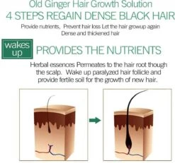 Haarserum 7days | Haarkuur 7daags | Haaruitval Bestrijden | Gember Extracten Voor Stimuleren Haargroei | Haar Olie | Bewezen Formule -Verzorgingsproducten 1200x1120 5