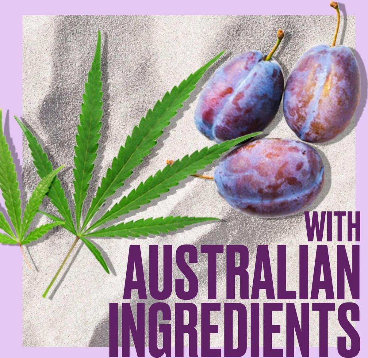 Aussie Blonde Hydratation Conditioner - Voordeelverpakking 6 X 200 Ml 8 Aussie Blonde Hydratation Conditioner - Voordeelverpakking 6 X 200 Ml - Afbeelding 8