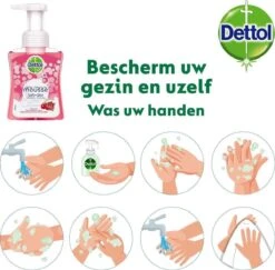 Dettol - Handzeep - Zachte Mousse - Antibacterieel - Roos & Kersenbloesem - 6 X 250 Ml 17 Dettol - Handzeep - Zachte Mousse - Antibacterieel - Roos & Kersenbloesem - 6 X 250 Ml -Verzorgingsproducten 1200x1180 5