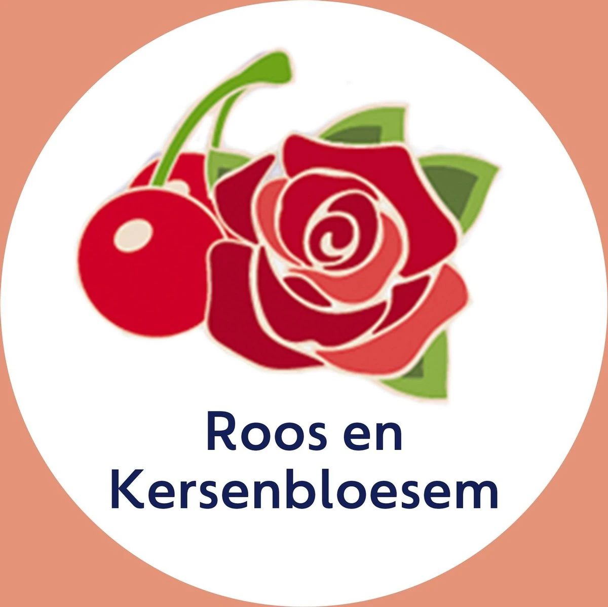 Dettol - Handzeep - Zachte Mousse - Antibacterieel - Roos & Kersenbloesem - 6 X 250 Ml 2 Dettol - Handzeep - Zachte Mousse - Antibacterieel - Roos & Kersenbloesem - 6 X 250 Ml - Afbeelding 2