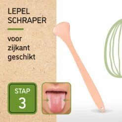 Nutty Green 3-Delige Tongschraper Set Inclusief Opbergcase - Tongreiniging Mondverzorging - Tongreiniger Mondhygiëne - RVS Schraper Voor Schone Tong Reiniging - Tongborstel Tegen Slechte Adem - Zero Waste Lifestyle 15 Nutty Green 3-Delige Tongschraper Set Inclusief Opbergcase - Tongreiniging Mondverzorging - Tongreiniger Mondhygiëne - RVS Schraper Voor Schone Tong Reiniging - Tongborstel Tegen Slechte Adem - Zero Waste Lifestyle -Verzorgingsproducten 1200x1200 1259