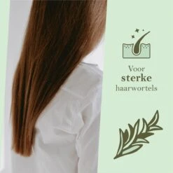 Rozemarijn Olie Voor In Het Haar - Rosemary Oil Hair Growth - Haarolie - Haarserum - Evergetikon - 60 Ml 8 Rozemarijn Olie Voor In Het Haar - Rosemary Oil Hair Growth - Haarolie - Haarserum - Evergetikon - 60 Ml -Verzorgingsproducten 1200x1200 1845