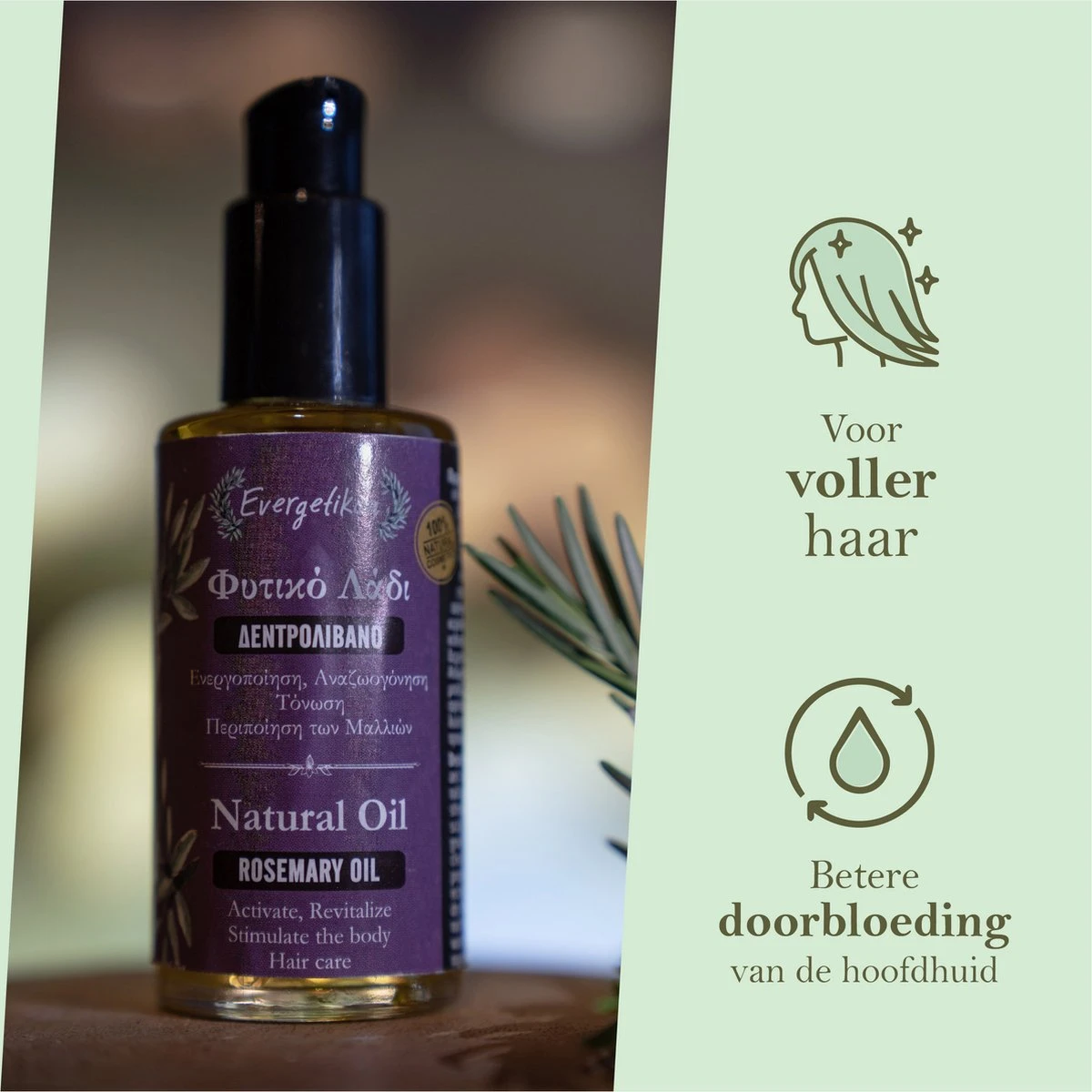 Rozemarijn Olie Voor In Het Haar - Rosemary Oil Hair Growth - Haarolie - Haarserum - Evergetikon - 60 Ml 5 Rozemarijn Olie Voor In Het Haar - Rosemary Oil Hair Growth - Haarolie - Haarserum - Evergetikon - 60 Ml - Afbeelding 5