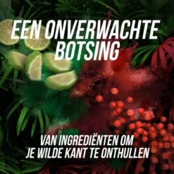 Axe Wild Fresh Bergamot & Pink Pepper Deodorant Bodyspray - 6 X 150 Ml - Voordeelverpakking -Verzorgingsproducten 1200x1200 19