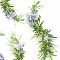 Kneipp New Energy - Douchegel 11 Kneipp New Energy - Douchegel -Verzorgingsproducten 1200x1200 398