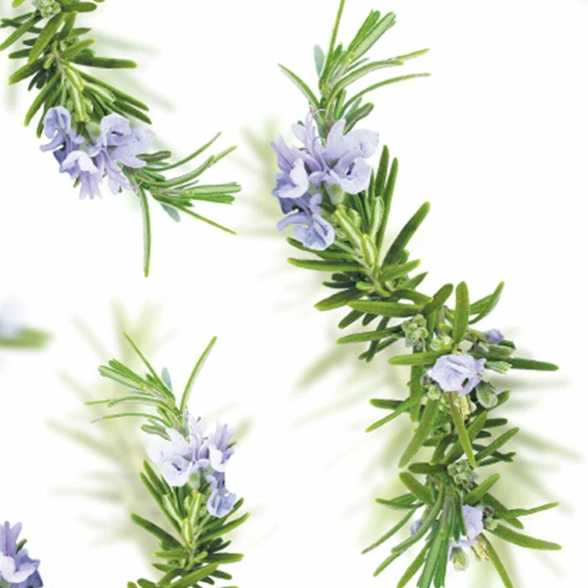 Kneipp New Energy - Douchegel 6 Kneipp New Energy - Douchegel - Afbeelding 6