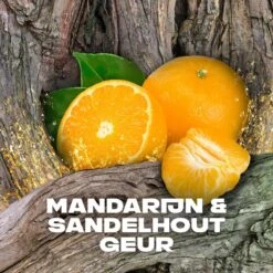 Axe Africa 3-in-1 Douchegel - 6 X 250 Ml - Voordeelverpakking 13 Axe Africa 3-in-1 Douchegel - 6 X 250 Ml - Voordeelverpakking -Verzorgingsproducten 1200x1200 459