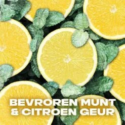 Axe Ice Chill Bodyspray Deodorant - 6 X 150 Ml - Voordeelverpakking 18 Axe Ice Chill Bodyspray Deodorant - 6 X 150 Ml - Voordeelverpakking -Verzorgingsproducten 1200x1200 570