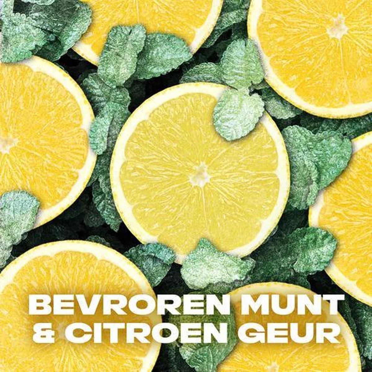 Axe Ice Chill Bodyspray Deodorant - 6 X 150 Ml - Voordeelverpakking 7 Axe Ice Chill Bodyspray Deodorant - 6 X 150 Ml - Voordeelverpakking - Afbeelding 7