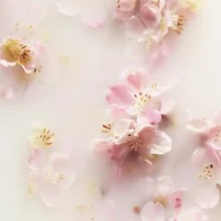 RITUALS The Ritual Of Sakura Recovery Hand Balm - 70 Ml 6 RITUALS The Ritual Of Sakura Recovery Hand Balm - 70 Ml -Verzorgingsproducten 1200x1200 846