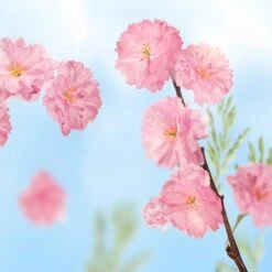 Kneipp Favourite Time - Handcrème 11 Kneipp Favourite Time - Handcrème -Verzorgingsproducten 1200x1200 857