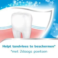 Aquafresh Freshmint 3in1 Tandpasta Voor Een Frisse Adem Voordeelverpakking 12x75ml, Recyclebare Plastic Tube En Dop 18 Aquafresh Freshmint 3in1 Tandpasta Voor Een Frisse Adem Voordeelverpakking 12x75ml, Recyclebare Plastic Tube En Dop -Verzorgingsproducten 1200x1200 985