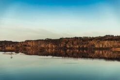 Australian Bodycare Body Treatment - 3 Producten Tegen Puistjes, Een Onzuivere Huid En Mee–eters Op De Rug En Billen Gebaseerd Op Tea Tree Olie - Bevat Douchegel En Peeling Om Je Huid Te Reinigen En Bodylotion Om Je Huid Te Hydrateren En Verzorgen -Verzorgingsproducten 1200x800 13