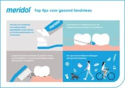 Meridol Tandvlees Tandpasta 3 X 75ml - Voordeelverpakking 19 Meridol Tandvlees Tandpasta 3 X 75ml - Voordeelverpakking -Verzorgingsproducten 1200x845 13
