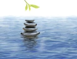 Kneipp Me-Time - Douchegel -Verzorgingsproducten 1200x921 2