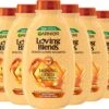 Garnier Loving Blends Honing Goud Herstellende Shampoo - 6 X 300 Ml