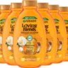 Garnier Loving Blends Shampoo Argan & Cameliaolie - 6 X 300 Ml - Voordeelverpakking