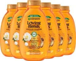 Garnier Loving Blends Shampoo Argan & Cameliaolie - 6 X 300 Ml - Voordeelverpakking