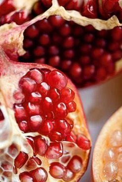 Weleda GRANAATAPPEL VERSTEVIGENDE BODY LOTION 7 Weleda GRANAATAPPEL VERSTEVIGENDE BODY LOTION -Verzorgingsproducten 803x1200