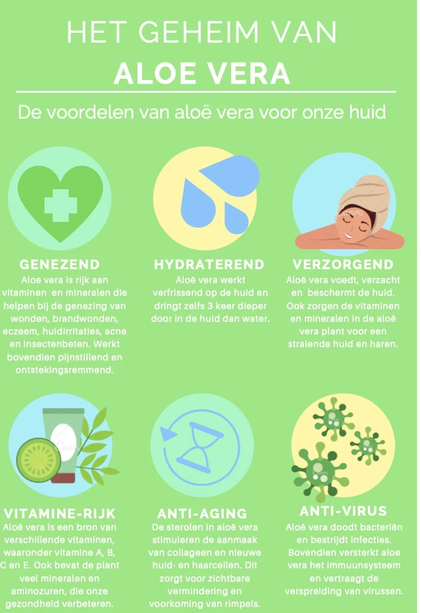 Aloeveco - Hydraterende Gel Van Aloe Vera - Genezende Huidverzorging - 99% Puur - Organic - 250 Ml 4 Aloeveco - Hydraterende Gel Van Aloe Vera - Genezende Huidverzorging - 99% Puur - Organic - 250 Ml - Afbeelding 4