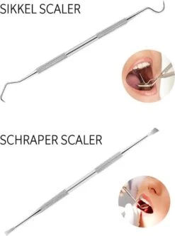 Newide Professionele Tandarts Set Met Luxe Etui – Tandsteen Verwijderaar – RVS Tandarts Setje – Tandenstokers – Tandartshaakje – Tand Verzorging Gereedschap Set – Tandplak Verwijderaar -Verzorgingsproducten 889x1200