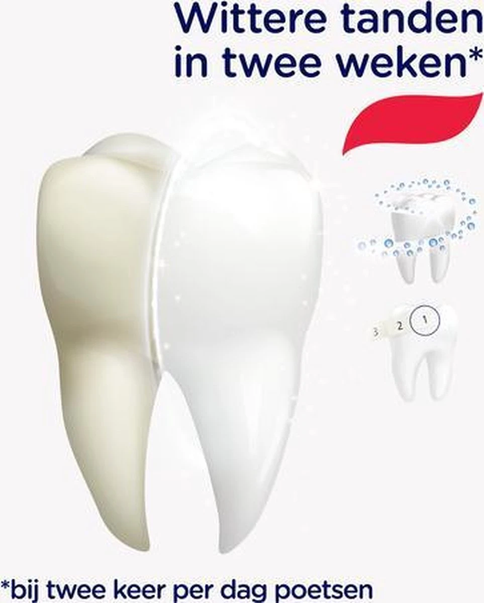 Prodent Whitening System Tandpasta - 12 X 75 Ml - Voordeelverpakking 8 Prodent Whitening System Tandpasta - 12 X 75 Ml - Voordeelverpakking - Afbeelding 8