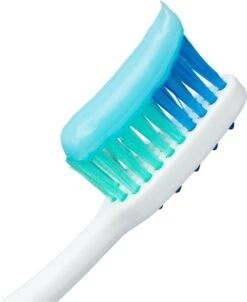 Meridol Tandvlees Tandpasta 3 X 75ml - Voordeelverpakking 20 Meridol Tandvlees Tandpasta 3 X 75ml - Voordeelverpakking -Verzorgingsproducten 982x1200 3